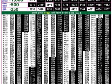 Lottery Result Today April 23, 2024