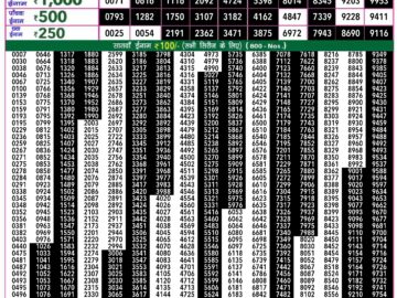 Lottery Result Today April 22, 2024