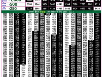 Lottery Result Today May 8, 2024