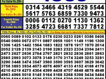 Lottery Result Today May 28, 2024