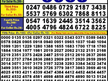 Lottery Result Today May 11, 2024