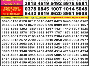 Lottery Result Today May 28, 2024