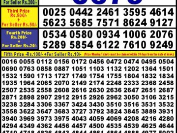 Lottery Result Today May 20, 2024