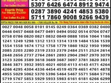 Lottery Result Today May 27, 2024