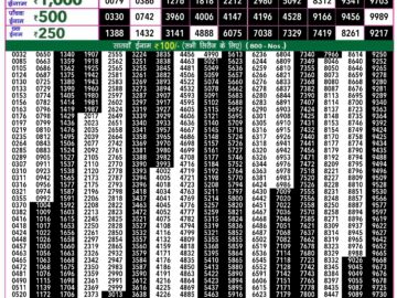 Lottery Result Today May 17, 2024