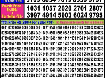 Lottery Result Today May 25, 2024