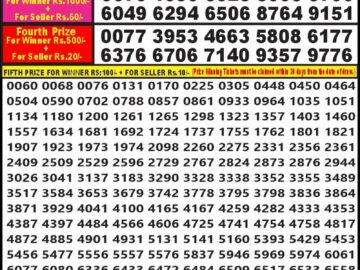 Lottery Result Today May 11, 2024