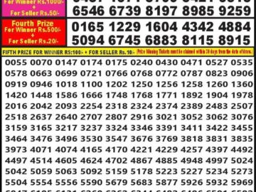 Lottery Result Today May 12, 2024