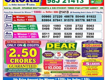 Lottery Result Today May 20, 2024