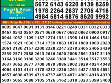 Lottery Result Today May 5, 2024