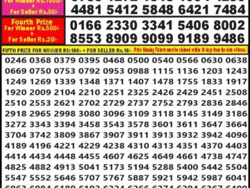 Lottery Result Today May 5, 2024