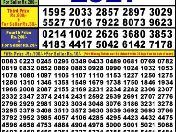 Lottery Result Today May 8, 2024