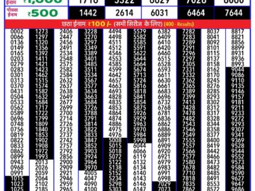 Lottery Result Today May 11, 2024