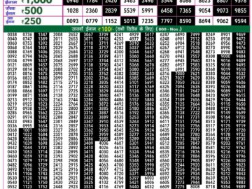 Lottery Result Today May 23, 2024