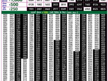 Lottery Result Today May 21, 2024