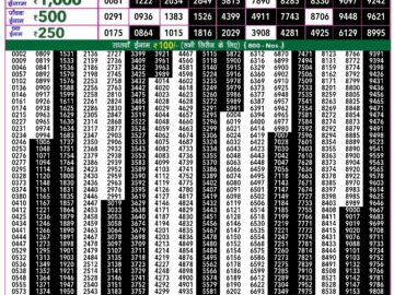 Lottery Result Today May 5, 2024