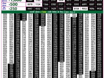 Lottery Result Today May 12, 2024