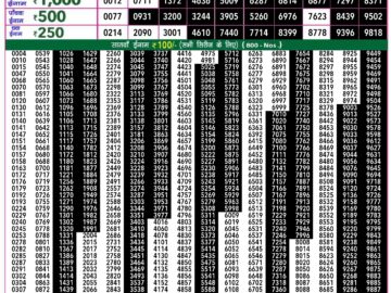 Lottery Result Today May 11, 2024