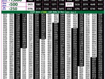 Lottery Result Today May 18, 2024