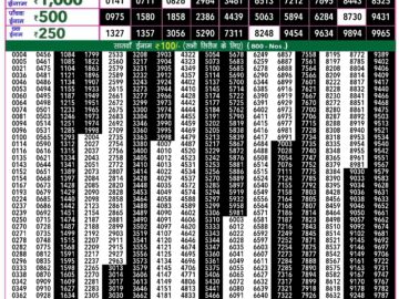 Lottery Result Today May 25, 2024