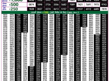 Lottery Result Today May 3, 2024