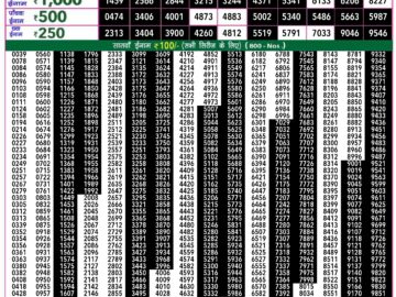 Lottery Result Today May 24, 2024