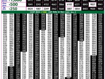 Lottery Result Today May 31, 2024