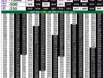 Lottery Result Today May 13, 2024