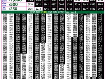 Lottery Result Today May 20, 2024