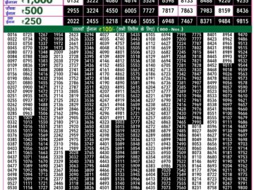 Lottery Result Today May 27, 2024