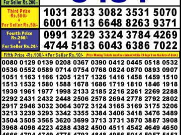 Lottery Result Today May 20, 2024