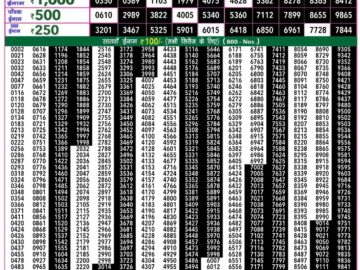 Lottery Result Today May 20, 2024