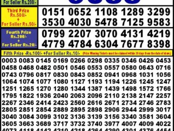 Lottery Result Today May 24, 2024