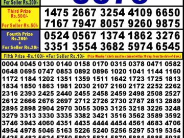 Lottery Result Today May 18, 2024