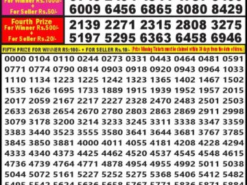 Lottery Result Today May 18, 2024