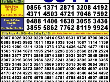 Lottery Result Today June 22, 2024