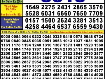 Lottery Result Today June 29, 2024