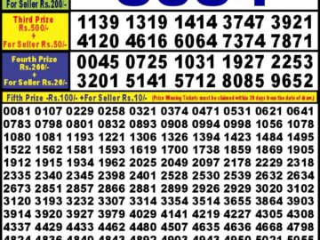 Lottery Result Today June 20, 2024