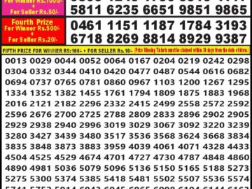 Lottery Result Today June 11, 2024