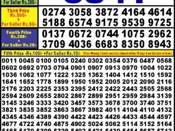 Lottery Result Today June 13, 2024