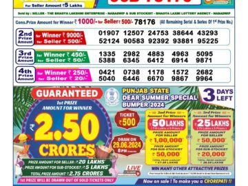 Lottery Result Today June 26, 2024