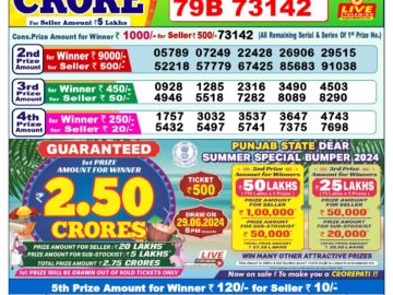 Lottery Result Today June 11, 2024