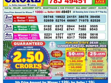 Lottery Result Today June 14, 2024