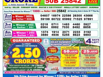 Lottery Result Today June 25, 2024