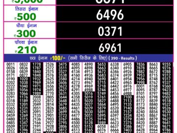 Lottery Result Today June 11, 2024