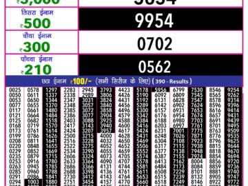 Lottery Result Today June 25, 2024