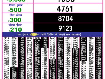 Lottery Result Today June 29, 2024