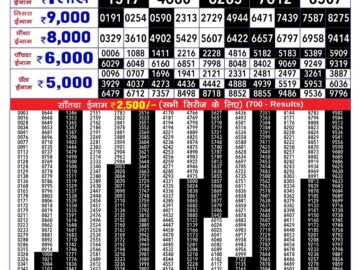 Lottery Result Today June 25, 2024