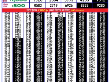 Lottery Result Today June 11, 2024