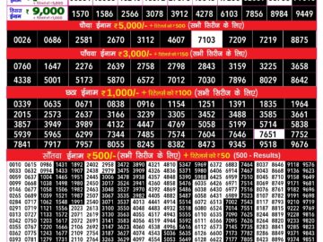 Lottery Result Today June 20, 2024